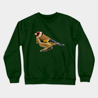 Very Smart Goldfinch Crewneck Sweatshirt